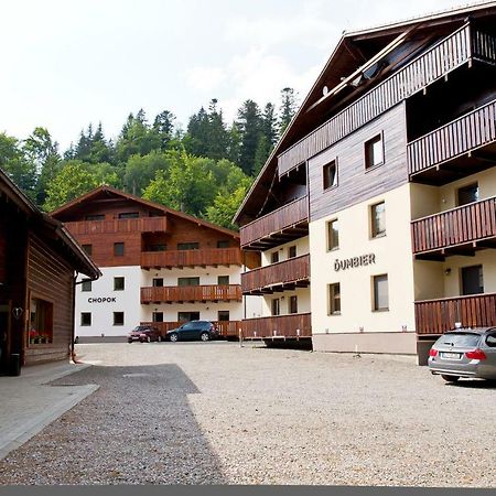 Apartman Chopok Juh Anka Horna Lehota Экстерьер фото